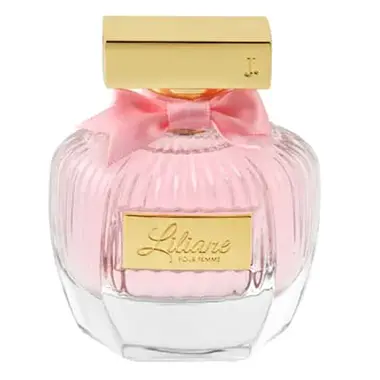 J. Purfumes Sale 2023! Upto 50% Off Fragrances Online Pakistan